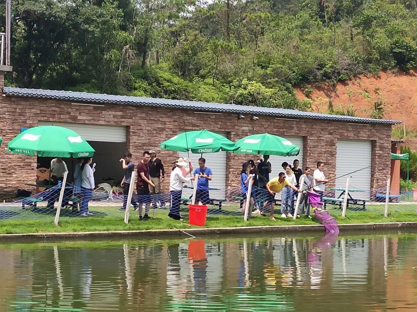 �h�y��8����